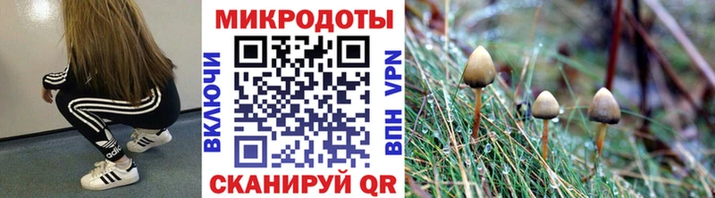 Псилоцибиновые грибы GOLDEN TEACHER  даркнет сайт  Усолье 