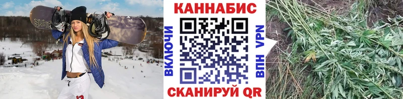 Бошки марихуана гибрид Усолье